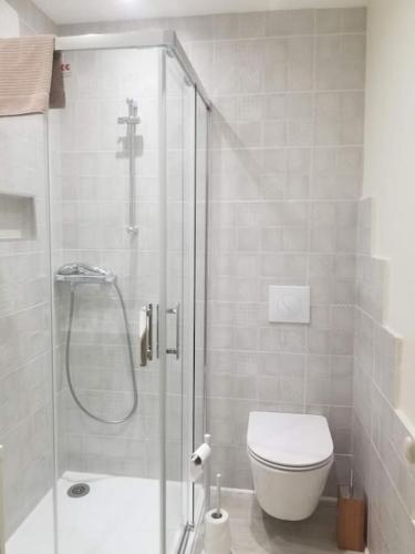 a bathroom with a shower with a toilet and a sink at Cocon 1 calme au cœur historique in Périgueux