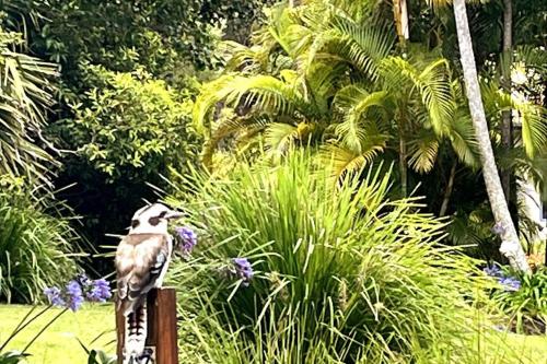 a bird standing on a post in a garden at The Bungalow - Luxurious & Calm - Beach and Bush Retreat in Valla Beach
