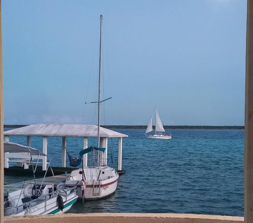 two boats docked at a dock with two sailboats at Tropic Bacalar in Bacalar