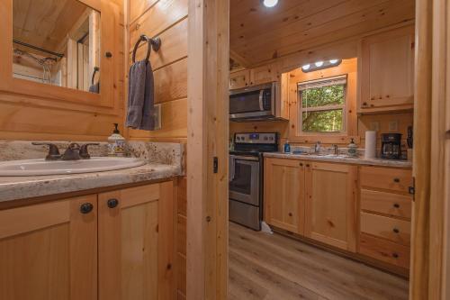 a kitchen with a sink and a stove at Celina Cabin Nature Cabin Near Downtown Chattanooga in Chattanooga
