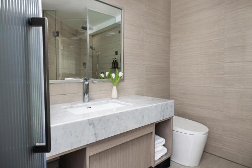 義烏的住宿－義烏巴里島雅庭酒店，一间带水槽、卫生间和镜子的浴室