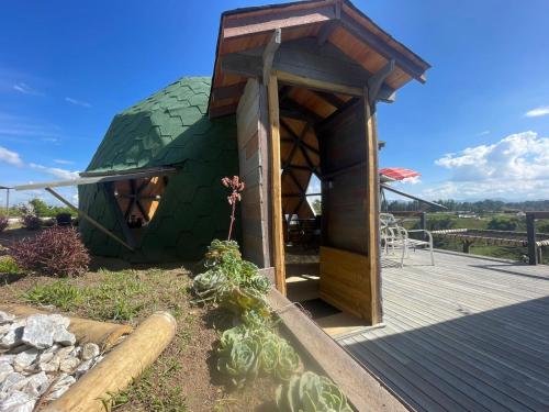a green iguana house with a deck at Vitta Glamping in Rionegro