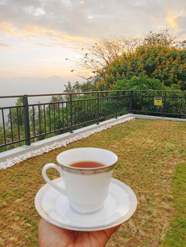 a person holding a cup of coffee on a balcony at eSKPe to Blackwood in Haputale
