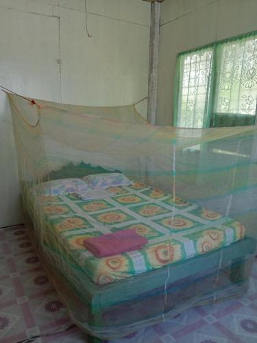 - un lit couvert d'une moustiquaire dans une chambre dans l'établissement Elnor's homestay, 