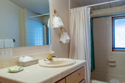 y baño con lavabo, espejo y ducha. en Baldy View Home - Amazing Hillside Home Close to Warm Springs Lifts, en Ketchum