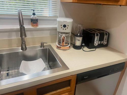 a kitchen counter with a sink and a kitchen appliance at BBQ, Beats, Hot Tub Retreat in Baldwin