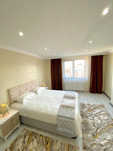 巴勒克埃西爾的住宿－Clock Towers Life，一间卧室配有一张大床和地毯。