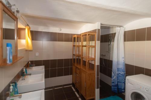 a bathroom with a sink and a shower at U Housenky in Klokočí