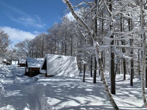 MADARAO DONGURIMURA en invierno