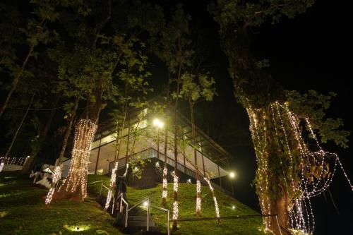 um edifício decorado com luzes de Natal num parque em Misty Wonders em Munnar