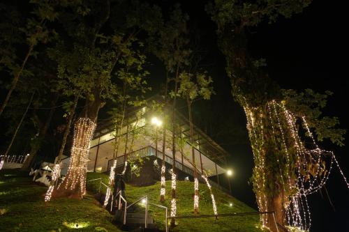 un edificio decorado con luces de Navidad en un parque en Misty Wonders en Munnar