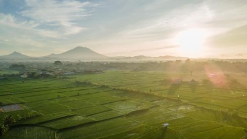 Aswanaya Villas Ubud – Фотосуреттер 5