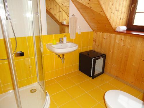 La salle de bains est pourvue d'un lavabo et d'une douche. dans l'établissement Penzion Žumberk, à Nové Hrady