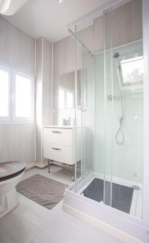 une salle de bain avec une douche en verre avec un lavabo dans l'établissement Love House 5, à Aulnay-sous-Bois