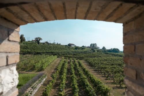 a view of a vineyard through a brick wall at Casa Valdo Country House in Valdobbiadene