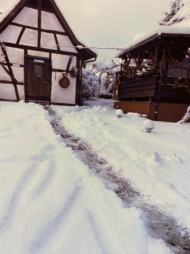 a snow covered path in front of a house at Basler Ferienwohnung in Offenburg