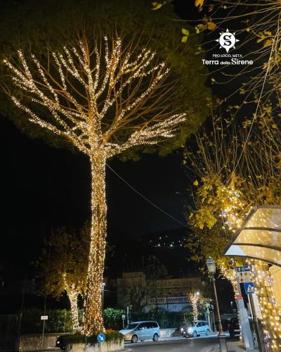 a tree decorated with lights in a street at night at Villino L'Aranceto Sorrentino in Meta