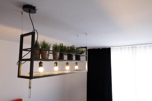 ein Regal mit Topfpflanzen und Lampen an einer Wand in der Unterkunft City Stay Vienna – Lugeck in Wien