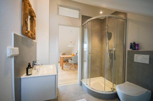 een badkamer met een douche, een toilet en een wastafel bij Modernes und helles Apartment im Loft Stil in Heidelberg