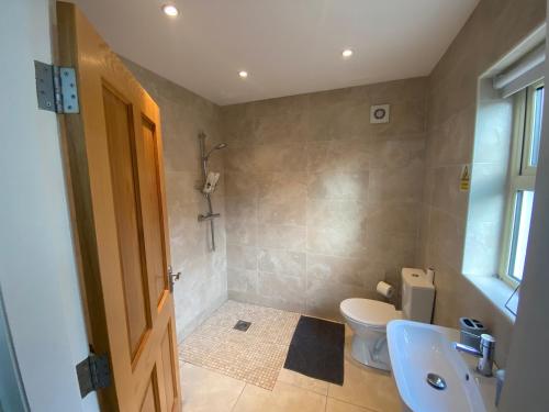 a bathroom with a toilet and a sink at Rostrevor Valley Resort- Full House in Newry