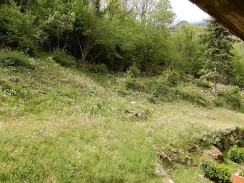 a grassy hill with trees and bushes and a field at Appartement Cauterets. 4/6 pers in Cauterets