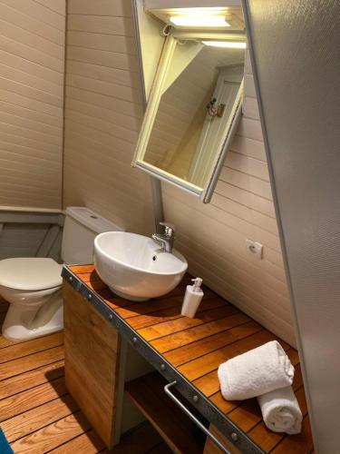 a bathroom with a sink and a toilet at LA CALOGE KASTELL DINN in Crozon