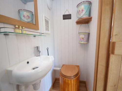 La petite salle de bains est pourvue d'un lavabo et de toilettes. dans l'établissement 1 Bed in Llanidloes 56492, à Van