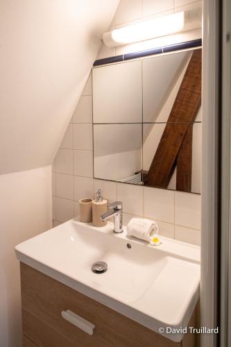 une salle de bain avec un lavabo et un miroir dans l'établissement Suites Mana - Te Fiti en Plein Centre de la Place Ducale avec vue sur les toits, à Charleville-Mézières