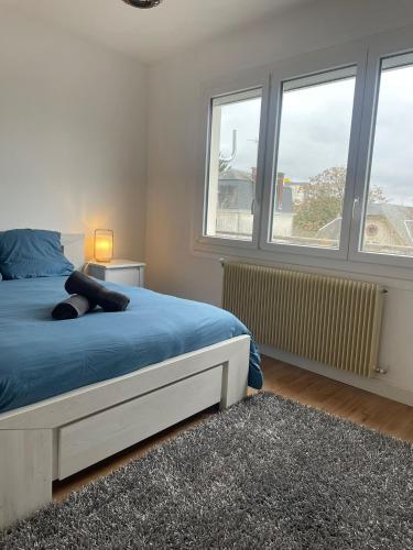 Schlafzimmer mit einem Bett mit blauer Bettwäsche und Fenstern in der Unterkunft 2 chambres • Centre-historique in Bourges