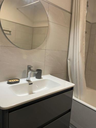 une salle de bain avec un lavabo, un miroir et une douche dans l'établissement 2 chambres • Centre-historique, à Bourges