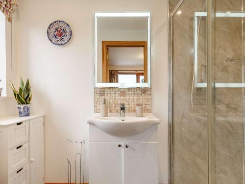 y baño blanco con lavabo y ducha. en 1 Bed in Liskeard 85888 en Saint Neot