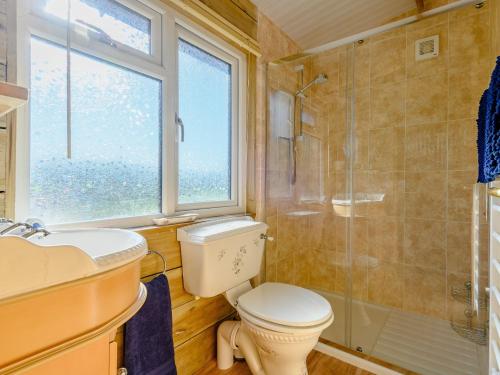 uma casa de banho com um WC, um chuveiro e um lavatório. em 1 bed in Llandovery 88603 em Cynghordy