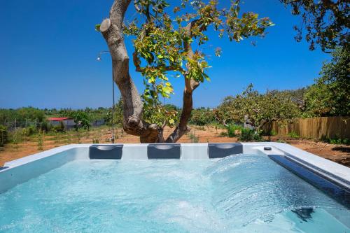 Villa Avo