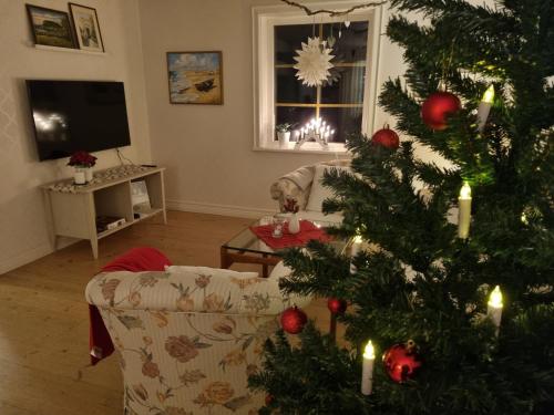 Gallery image of Sällinge House - Cozy Villa with Fireplace and Garden close to Uppsala in Uppsala