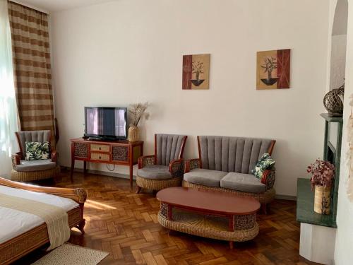 Odessa的住宿－豪華公寓酒店，客厅配有两把椅子和电视