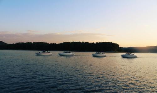 a group of three boats in the water at Skalnica - Apartamenty w Bieszczadach nad Soliną in Berezka