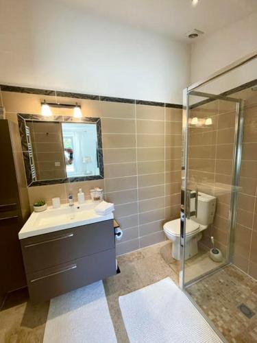une salle de bain avec une douche, un lavabo et des toilettes dans l'établissement LUBERON SOLEIL ET OLIVIERS, à Les Taillades