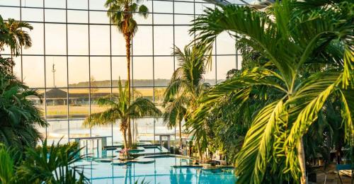 a view of a swimming pool with palm trees at Homey 3 Cosmopolis in Creţuleasca