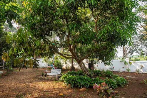 Zahrada ubytování Mystical Garden by the River 2BHK -By Aquagreen Homes