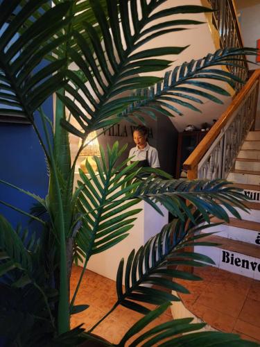 Ein Mann steht auf der Treppe neben einer Pflanze in der Unterkunft Villa Wilda in Bamako