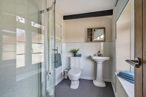 a bathroom with a toilet and a sink at Ivy Cottage in Buckland in the Moor