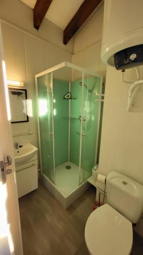 une salle de bain avec une douche, des toilettes et un lavabo dans l'établissement Ski'libre, à Bolquère-Pyrénées 2000