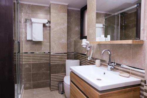 a bathroom with a toilet and a sink and a shower at Hotel Ildis in Iaşi