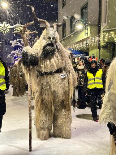 a person dressed in a reindeer costume in the snow at Ferienwohnung Gasser in Reutte