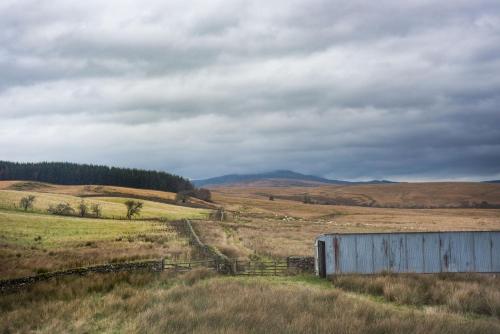 a field with a barn in the middle of a field at The Bothy at Redheugh in Newcastleton