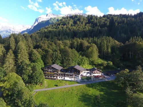 an aerial view of a resort in the mountains at Hotel Bänklialp in Engelberg