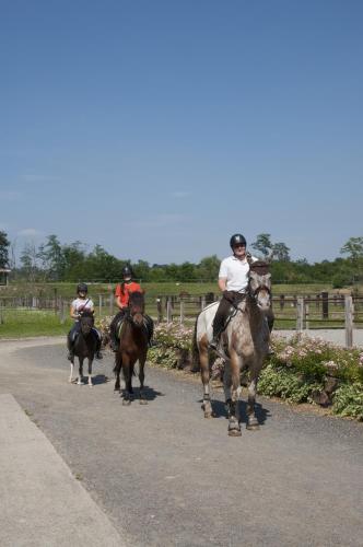a group of people riding horses down a road at Agriturismo Jesson Rosamund in Cantù
