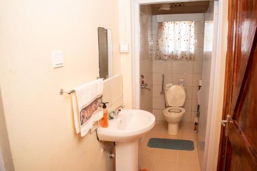 a small bathroom with a toilet and a sink at Elgon View House in Eldoret