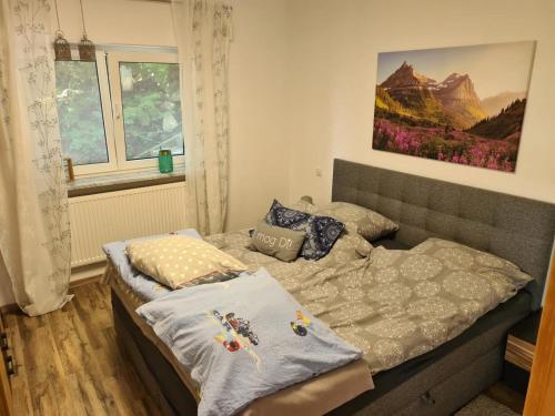a bedroom with a bed with pillows on it at NEU Ferienwohnung im Nationalpark Bayrischer Wald in Neukirchen