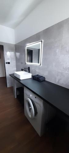 a bathroom with a sink and a washing machine at Apartmán Vacovi in Olomouc